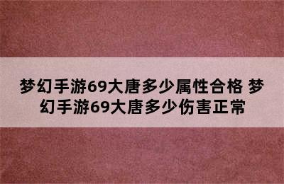 梦幻手游69大唐多少属性合格 梦幻手游69大唐多少伤害正常